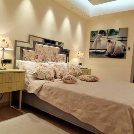 Comfy Boutique Hotel