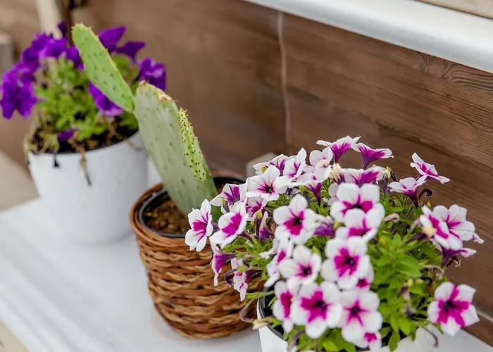 Comfy Boutique Ξενοδοχείο